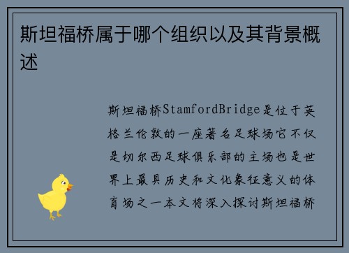 斯坦福桥属于哪个组织以及其背景概述